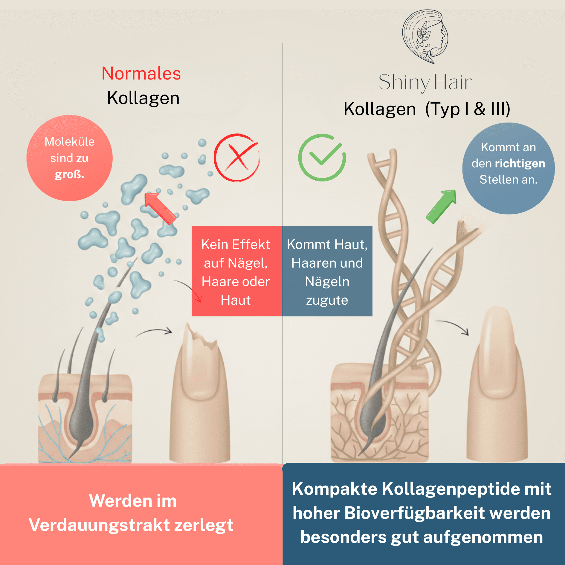 ShinyHair Premium Collagen Powder