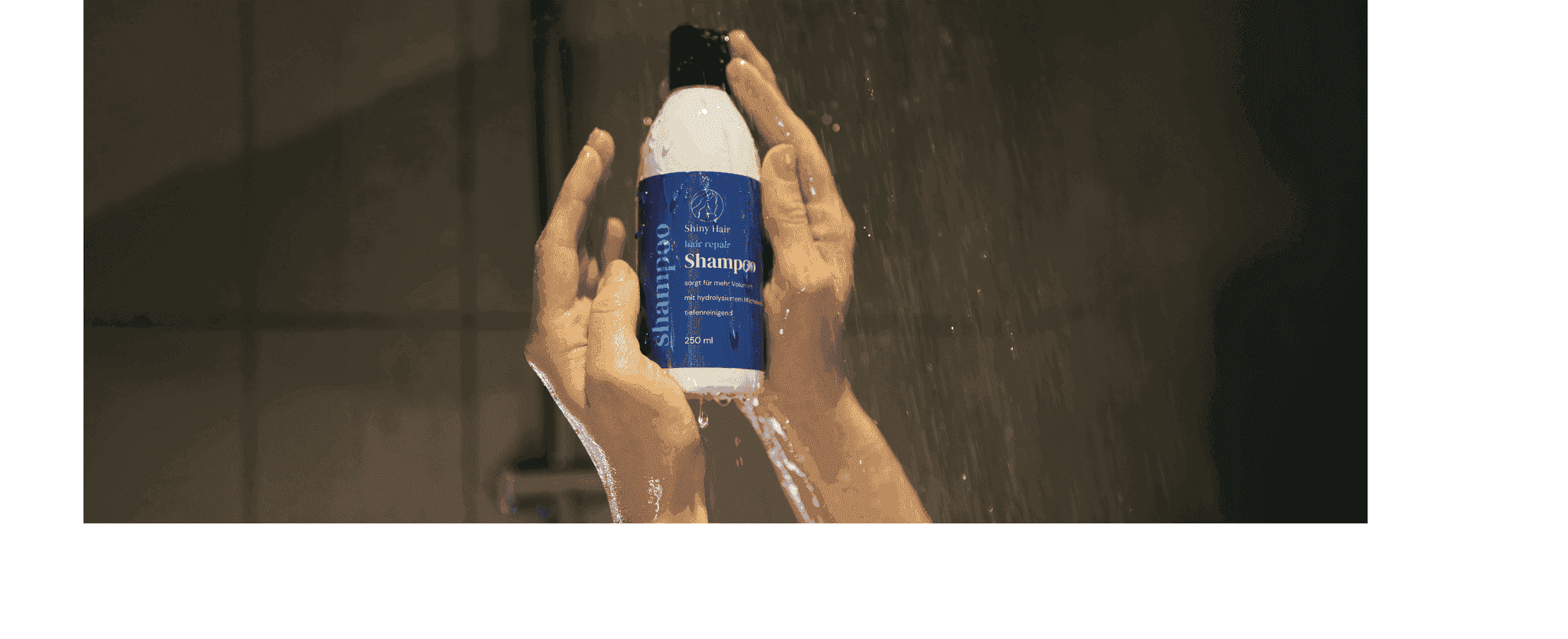 Shampoo
