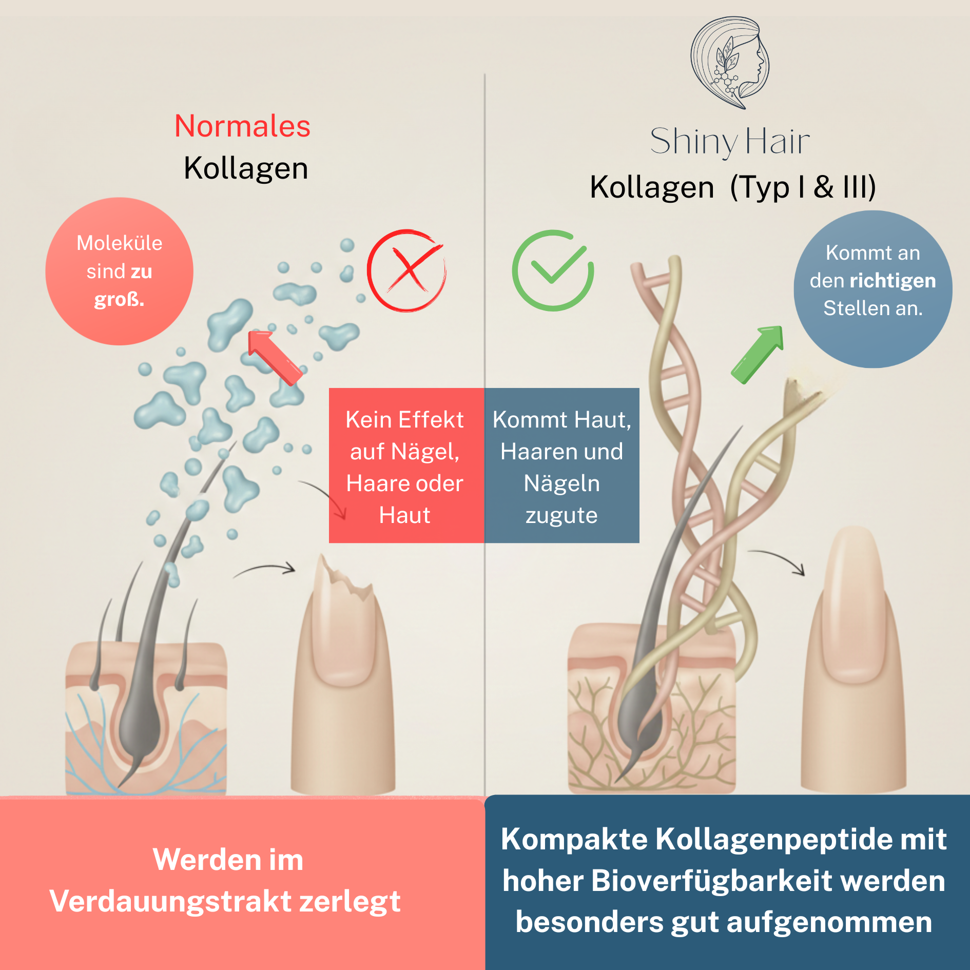 ShinyHair Premium Collagen Powder 