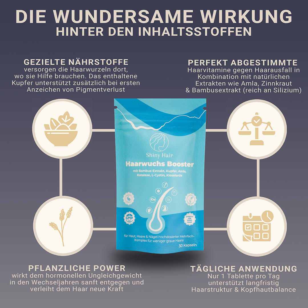 Glanzend Haar | reparatieset