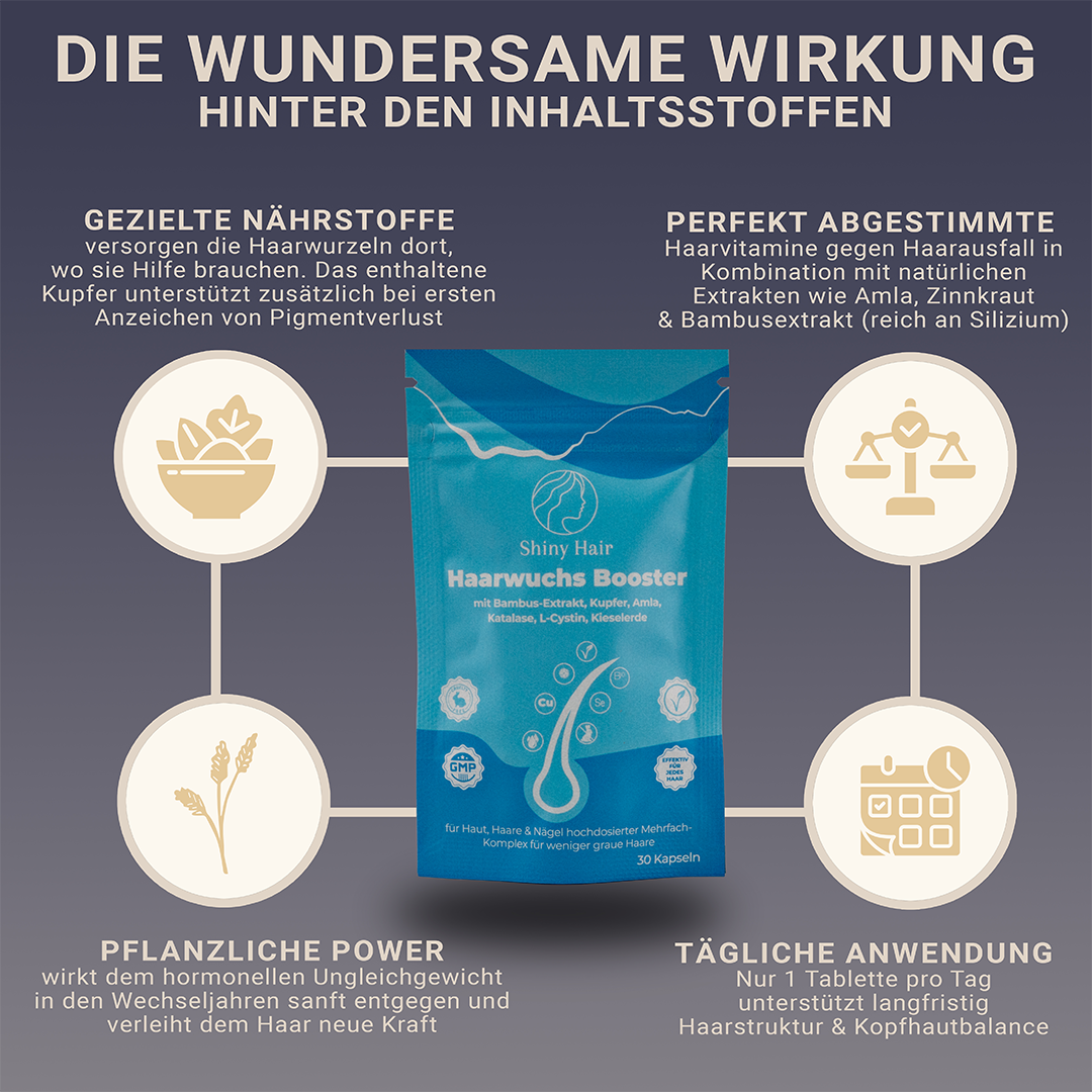 ShinyHair | Repair Kit